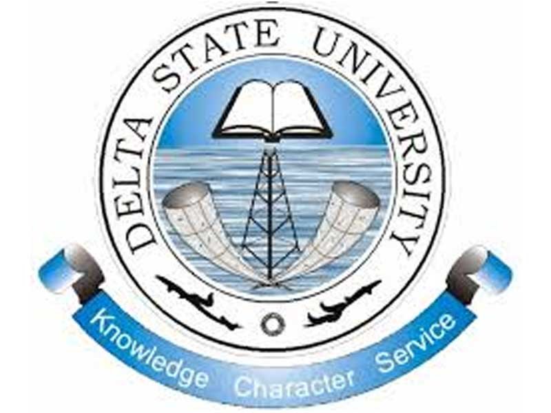 DELSU Student Portal: Login, Registration