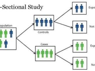 Cross sectional design