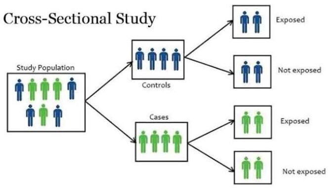 Cross sectional design
