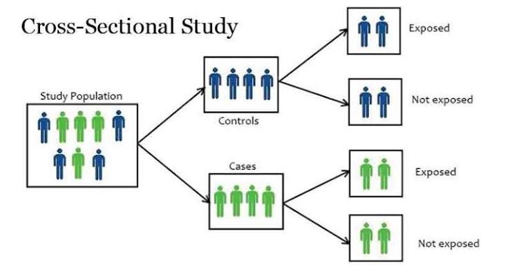 Cross sectional design